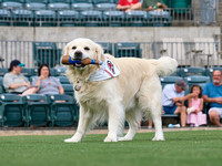 2025-06-19 18.15.222025-06-19 18.15.22Travs vs WichitaP6190643
